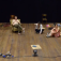 #FE84-14 No. 5 12am | PACT 2014 | remarking cardboard signs