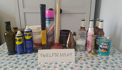 Twelfth Night Cast Image